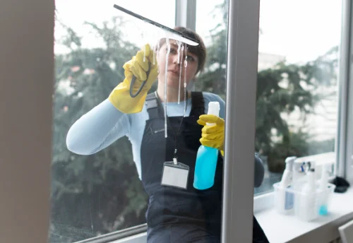 Nettoyage de vitres intérieures et extérieures à Izeure
